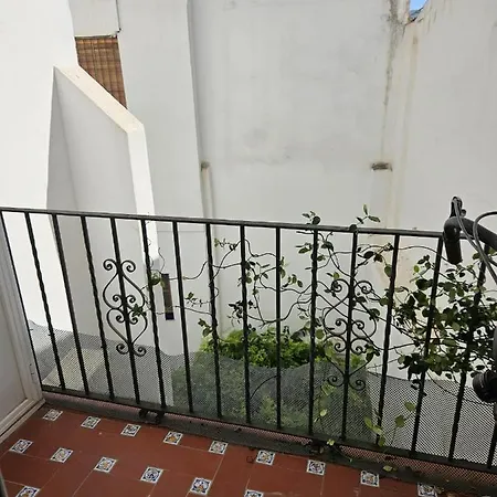 Duplex Con Terraza Deluxe Seville